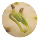 Air Cool 涼爽親水綿